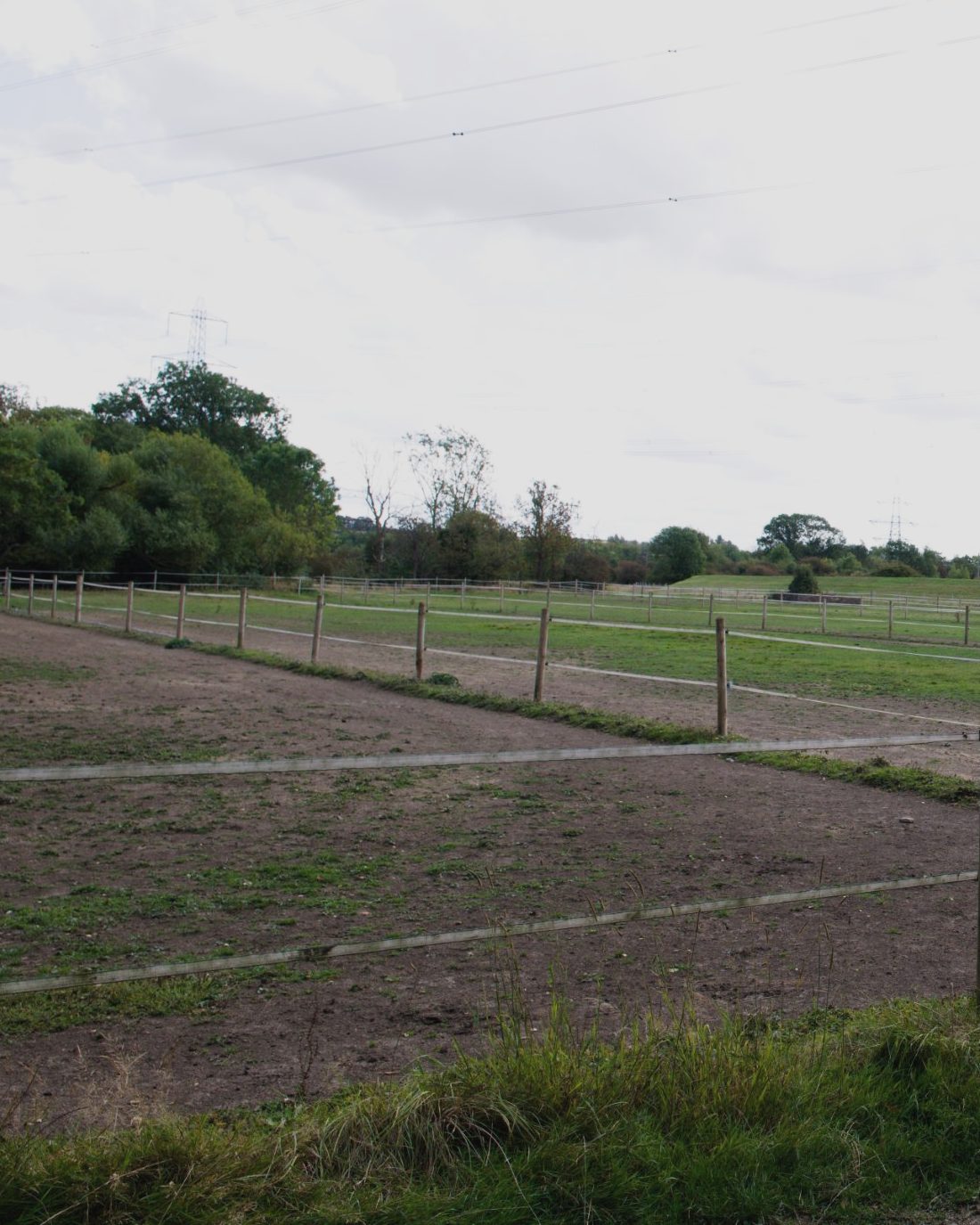 Fenced paddocks with open grazing beyond